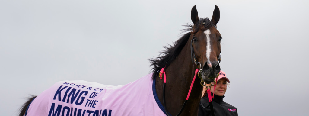 King of the Mountain Horse Race 2025