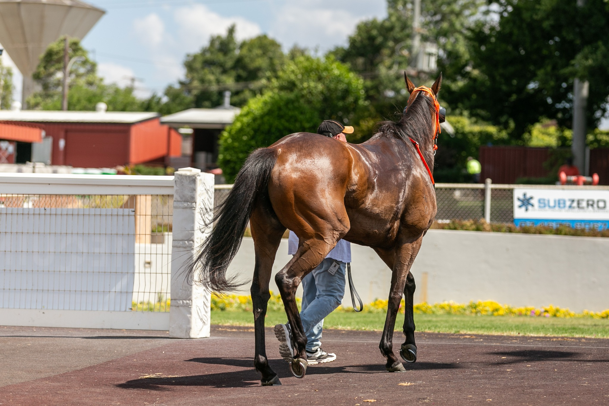 Clifford Park Racecourse – Racing | Functions | Events