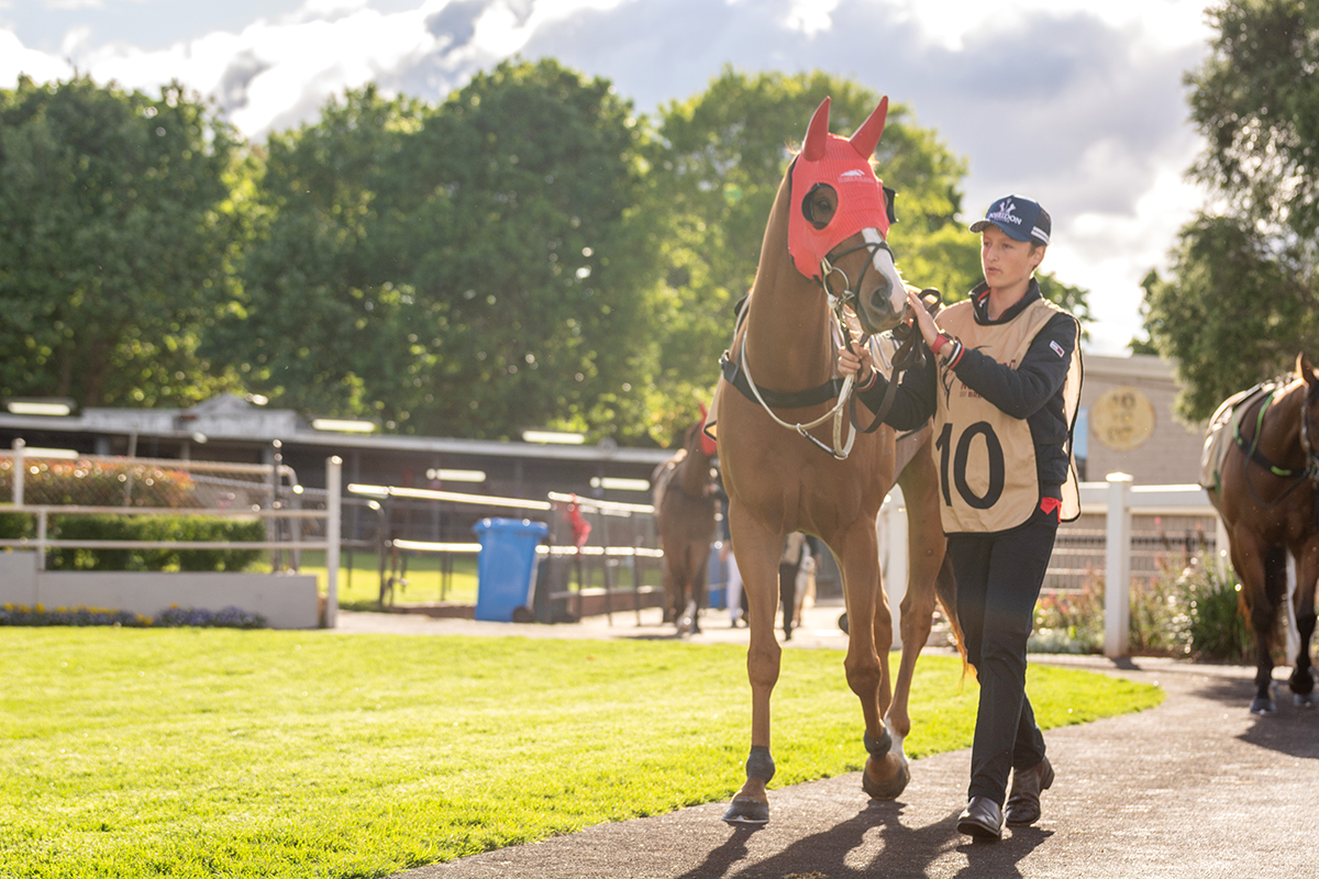 Clifford Park Racecourse. Home of the Toowoomba Turf Club.