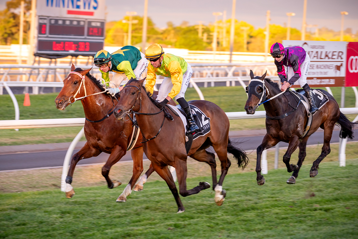 Clifford Park Racecourse. Home of the Toowoomba Turf Club.
