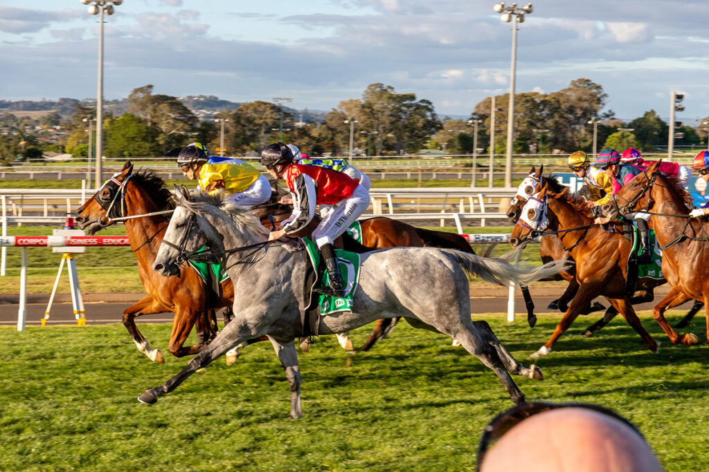 The Weetwood Handicap at Clifford Park Racecourse in Toowoomba, Queensland, showcasing elite thoroughbred racing.