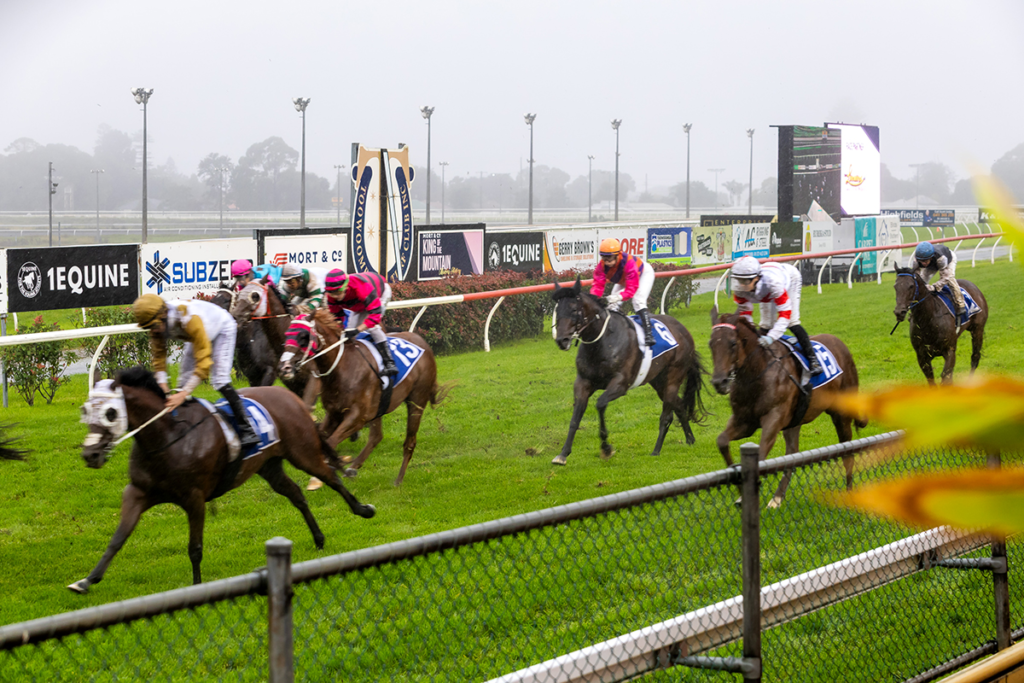 The King of the Mountain Raceday at Clifford Park Racecourse in Toowoomba, Queensland, celebrating high-stakes thoroughbred racing and one of Australia’s most iconic weight-for-age sprint events.