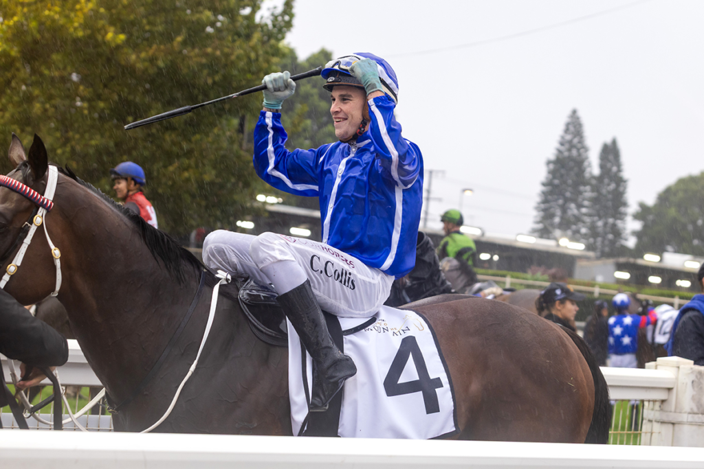 The King of the Mountain Raceday at Clifford Park Racecourse in Toowoomba, Queensland, celebrating high-stakes thoroughbred racing and one of Australia’s most iconic weight-for-age sprint events.