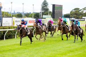 The King of the Mountain Raceday at Clifford Park Racecourse in Toowoomba, Queensland, celebrating high-stakes thoroughbred racing and one of Australia’s most iconic weight-for-age sprint events.