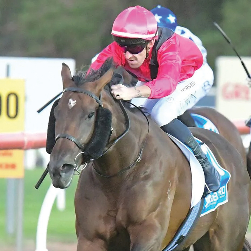 2026 KOTM Winner: Cherry Rose