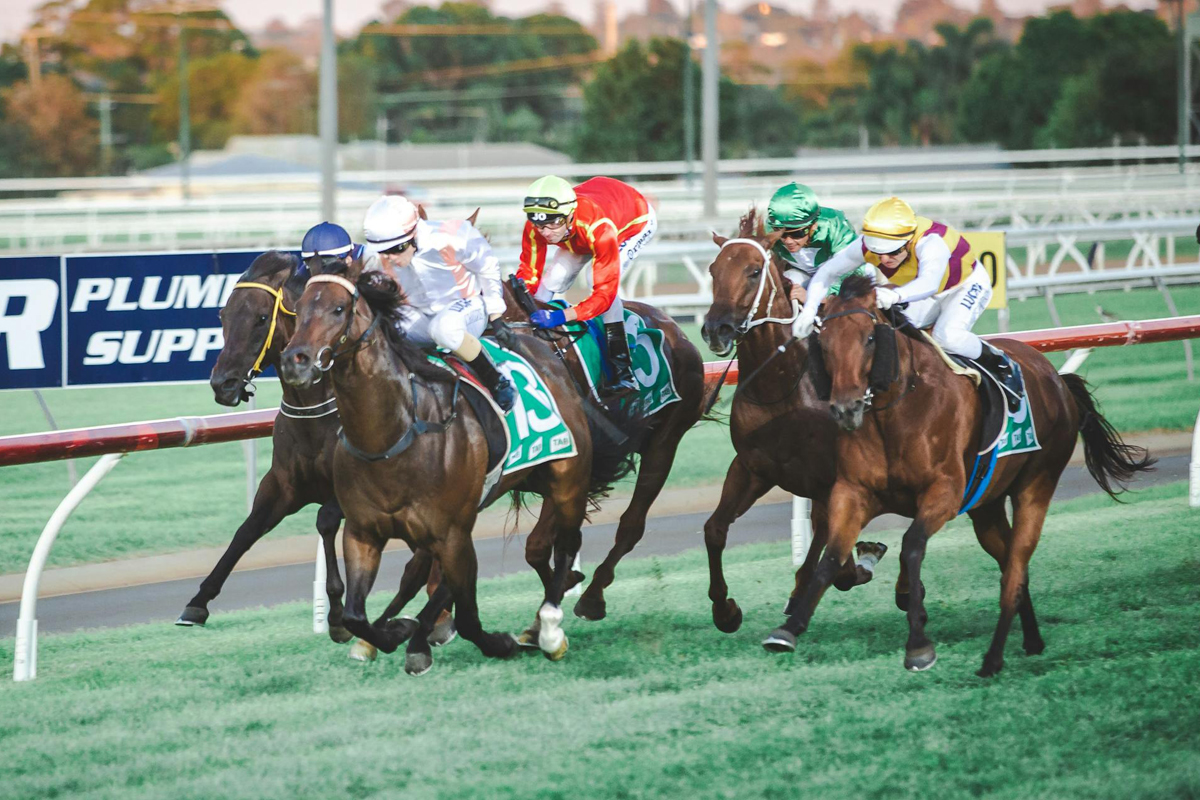 Autumn Racing - Track