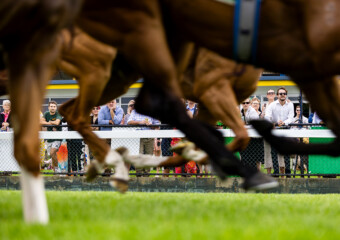 Clifford Park Racecourse. Home of the Toowoomba Turf Club. Clifford Park Racecourse. Home of the Toowoomba Turf Club.