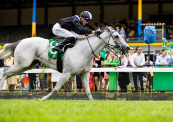 Clifford Park Racecourse. Home of the Toowoomba Turf Club. Clifford Park Racecourse. Home of the Toowoomba Turf Club.