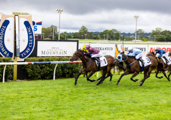 Clifford Park Racecourse. Home of the Toowoomba Turf Club. Clifford Park Racecourse. Home of the Toowoomba Turf Club.