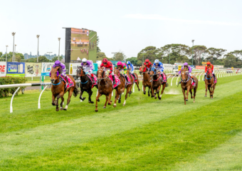 Clifford Park Racecourse. Home of the Toowoomba Turf Club. Clifford Park Racecourse. Home of the Toowoomba Turf Club.