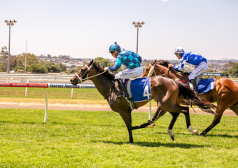 Clifford Park Racecourse. Home of the Toowoomba Turf Club. Clifford Park Racecourse. Home of the Toowoomba Turf Club.