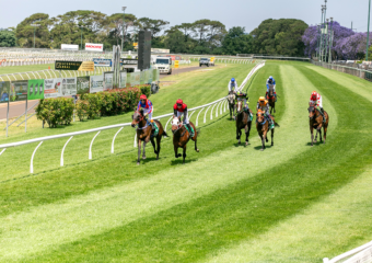 Clifford Park Racecourse. Home of the Toowoomba Turf Club. Clifford Park Racecourse. Home of the Toowoomba Turf Club.