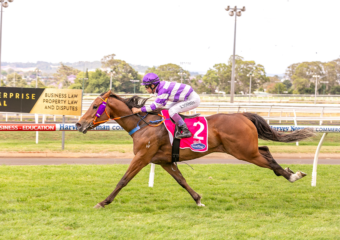 Clifford Park Racecourse. Home of the Toowoomba Turf Club. Clifford Park Racecourse. Home of the Toowoomba Turf Club.