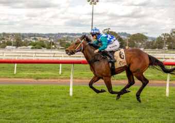 Clifford Park Racecourse. Home of the Toowoomba Turf Club. Clifford Park Racecourse. Home of the Toowoomba Turf Club.