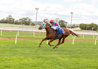 Clifford Park Racecourse. Home of the Toowoomba Turf Club. Clifford Park Racecourse. Home of the Toowoomba Turf Club.