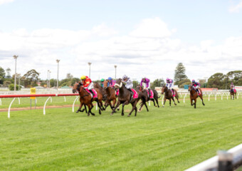 Clifford Park Racecourse. Home of the Toowoomba Turf Club. Clifford Park Racecourse. Home of the Toowoomba Turf Club.
