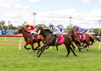 Clifford Park Racecourse. Home of the Toowoomba Turf Club. Clifford Park Racecourse. Home of the Toowoomba Turf Club.
