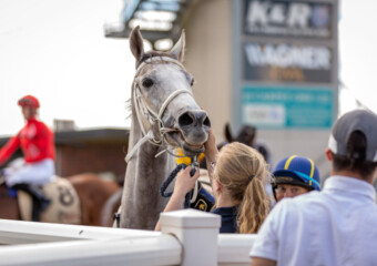 Clifford Park Racecourse. Home of the Toowoomba Turf Club. Clifford Park Racecourse. Home of the Toowoomba Turf Club.