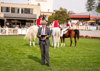 Clifford Park Racecourse. Home of the Toowoomba Turf Club. Clifford Park Racecourse. Home of the Toowoomba Turf Club.