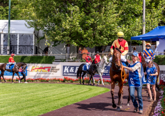 Clifford Park Racecourse. Home of the Toowoomba Turf Club. Clifford Park Racecourse. Home of the Toowoomba Turf Club.