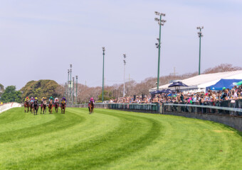 Clifford Park Racecourse. Home of the Toowoomba Turf Club. Clifford Park Racecourse. Home of the Toowoomba Turf Club.