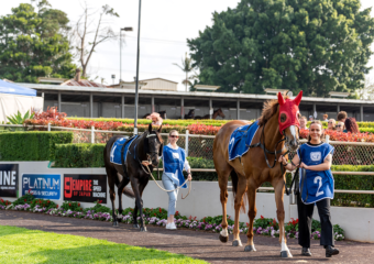 Clifford Park Racecourse. Home of the Toowoomba Turf Club. Clifford Park Racecourse. Home of the Toowoomba Turf Club.
