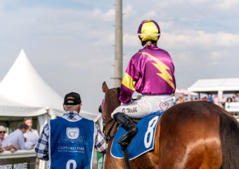 Clifford Park Racecourse. Home of the Toowoomba Turf Club. Clifford Park Racecourse. Home of the Toowoomba Turf Club.