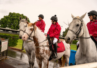 Clifford Park Racecourse. Home of the Toowoomba Turf Club. Clifford Park Racecourse. Home of the Toowoomba Turf Club.