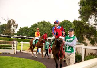 Clifford Park Racecourse. Home of the Toowoomba Turf Club. Clifford Park Racecourse. Home of the Toowoomba Turf Club.