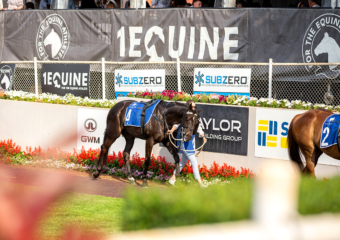 Clifford Park Racecourse. Home of the Toowoomba Turf Club. Clifford Park Racecourse. Home of the Toowoomba Turf Club.