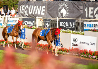 Clifford Park Racecourse. Home of the Toowoomba Turf Club. Clifford Park Racecourse. Home of the Toowoomba Turf Club.