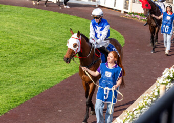 Clifford Park Racecourse. Home of the Toowoomba Turf Club. Clifford Park Racecourse. Home of the Toowoomba Turf Club.