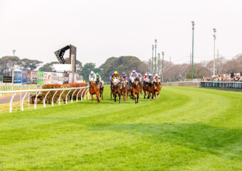 Clifford Park Racecourse. Home of the Toowoomba Turf Club. Clifford Park Racecourse. Home of the Toowoomba Turf Club.