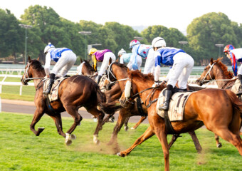 Clifford Park Racecourse. Home of the Toowoomba Turf Club. Clifford Park Racecourse. Home of the Toowoomba Turf Club.