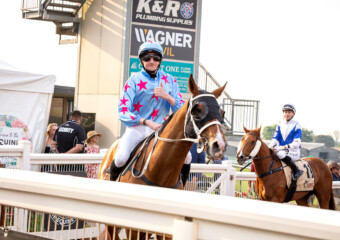 Clifford Park Racecourse. Home of the Toowoomba Turf Club. Clifford Park Racecourse. Home of the Toowoomba Turf Club.