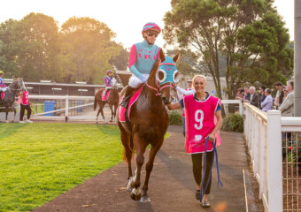 Clifford Park Racecourse. Home of the Toowoomba Turf Club. Clifford Park Racecourse. Home of the Toowoomba Turf Club.