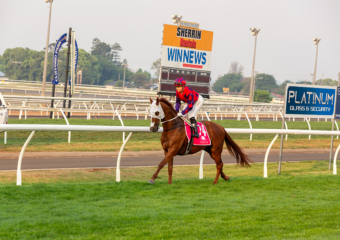 Clifford Park Racecourse. Home of the Toowoomba Turf Club. Clifford Park Racecourse. Home of the Toowoomba Turf Club.