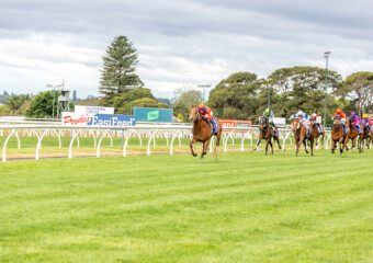 Clifford Park Racecourse. Home of the Toowoomba Turf Club. Clifford Park Racecourse. Home of the Toowoomba Turf Club.