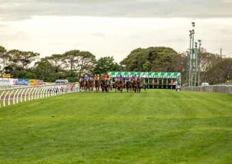 Clifford Park Racecourse. Home of the Toowoomba Turf Club. Clifford Park Racecourse. Home of the Toowoomba Turf Club.