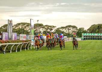 Clifford Park Racecourse. Home of the Toowoomba Turf Club. Clifford Park Racecourse. Home of the Toowoomba Turf Club.