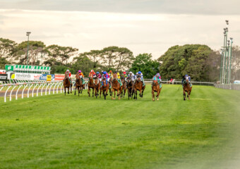Clifford Park Racecourse. Home of the Toowoomba Turf Club. Clifford Park Racecourse. Home of the Toowoomba Turf Club.