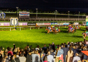 Clifford Park Racecourse. Home of the Toowoomba Turf Club. Clifford Park Racecourse. Home of the Toowoomba Turf Club.