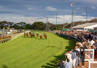 Clifford Park Racecourse. Home of the Toowoomba Turf Club. Clifford Park Racecourse. Home of the Toowoomba Turf Club.