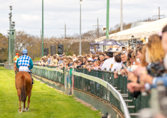 Clifford Park Racecourse. Home of the Toowoomba Turf Club. Clifford Park Racecourse. Home of the Toowoomba Turf Club.