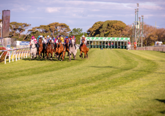 Clifford Park Racecourse. Home of the Toowoomba Turf Club. Clifford Park Racecourse. Home of the Toowoomba Turf Club.
