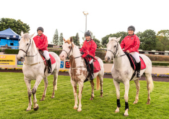 Clifford Park Racecourse. Home of the Toowoomba Turf Club. Clifford Park Racecourse. Home of the Toowoomba Turf Club.