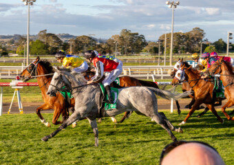 The Weetwood Handicap at Clifford Park Racecourse in Toowoomba, Queensland, showcasing elite thoroughbred racing. The Weetwood Handicap at Clifford Park Racecourse in Toowoomba, Queensland, showcasing elite thoroughbred racing.