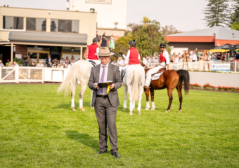The Weetwood Handicap at Clifford Park Racecourse in Toowoomba, Queensland, showcasing elite thoroughbred racing. The Weetwood Handicap at Clifford Park Racecourse in Toowoomba, Queensland, showcasing elite thoroughbred racing.