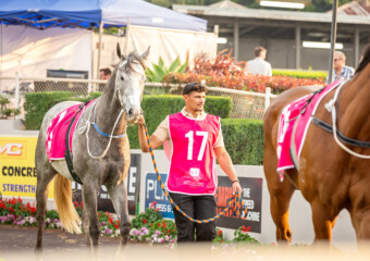 The Weetwood Handicap at Clifford Park Racecourse in Toowoomba, Queensland, showcasing elite thoroughbred racing. The Weetwood Handicap at Clifford Park Racecourse in Toowoomba, Queensland, showcasing elite thoroughbred racing.