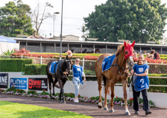 The Weetwood Handicap at Clifford Park Racecourse in Toowoomba, Queensland, showcasing elite thoroughbred racing. The Weetwood Handicap at Clifford Park Racecourse in Toowoomba, Queensland, showcasing elite thoroughbred racing.